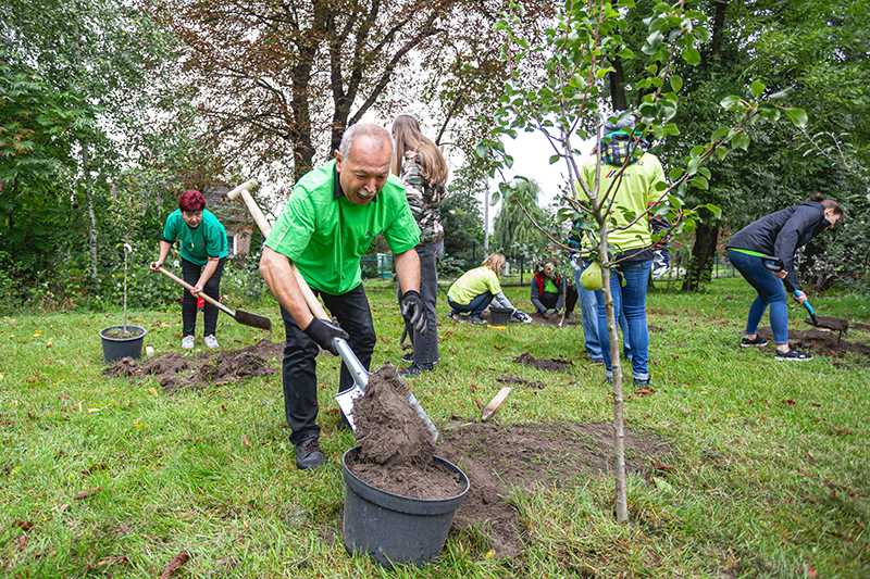 fundacja cemex, cemex chorzenice, wolontariat cemex